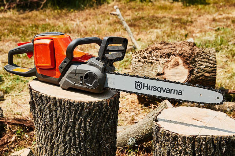 Electric Chainsaw Market Outlook Trends Growth Forecast 2035