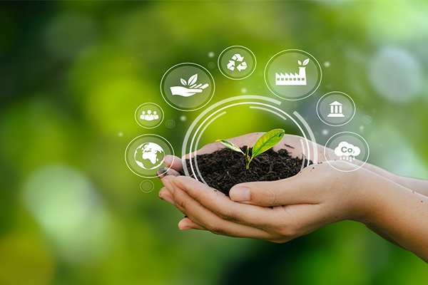 Sustainable Bioenergy Market