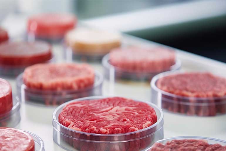 Cultured Meat Market Growth Driven by Food Innovation
