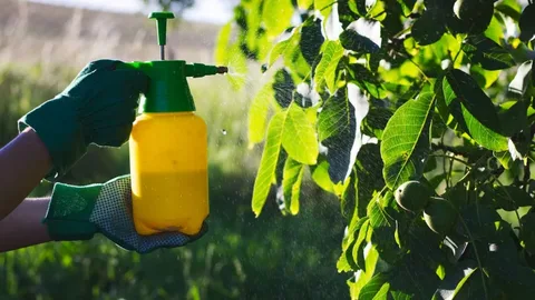 Foliar Spray Market to Reach USD 11.2 Bn by 2032 from USD 7.8 Bn in 2025 at ~5.3% CAGR, as per Stalwart Research Insights