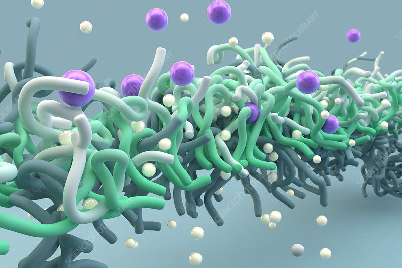 Polymeric Membranes Market to Grow from USD 1.47 Bn in 2025 to USD 2.8 Bn by 2033 and USD 3.48 Bn by 2035 at 9.0% CAGR as per Stalwart Research Insights